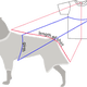 Illustration for article titled How to Avoid the Cone of Shame for Dogs Post Surgery